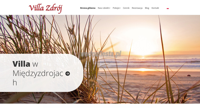 project-img